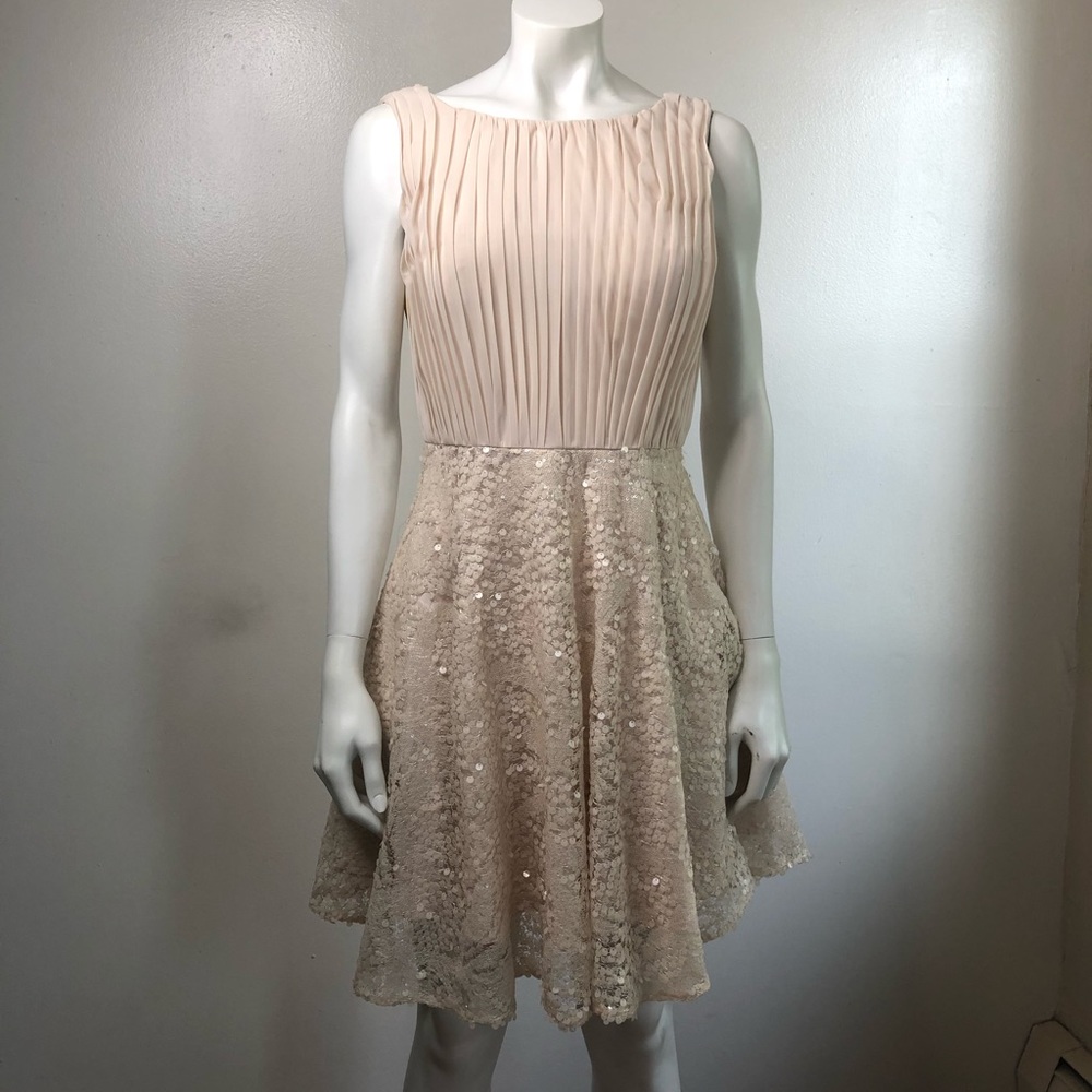Gorgeous, elegant pale rose Aiden dress size 6